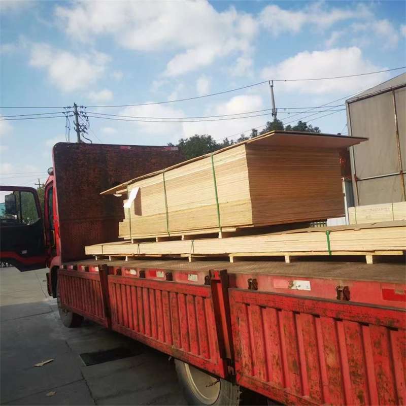 临安到河北物流公司——一站式服务，让货运更便捷